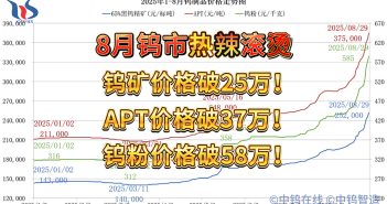 直播新聞:鎢礦價格破25萬! 2025年1月-8月29日鎢制品價格走勢